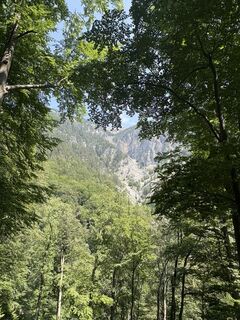 Photo de Lukas Geissler le long du parcours