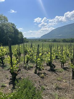 Foto van Andi Felix langs de tour