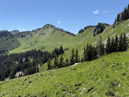 Photo de Kai Streubel le long du parcours