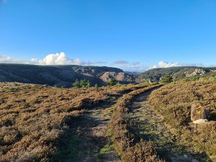 Photo de Wolfram Bechtel Ma le long du parcours