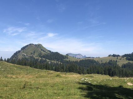 Foto von Hetty Oerlemans entlang der Tour