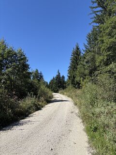 Foto de Heinz Sperl a lo largo del recorrido