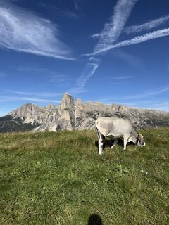 Foto de Gianluca Bucciantini a lo largo del recorrido
