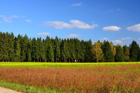 Wanderweg Wilde Jagd