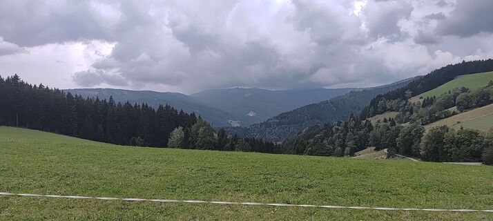 Foto von wolfkl entlang der Tour