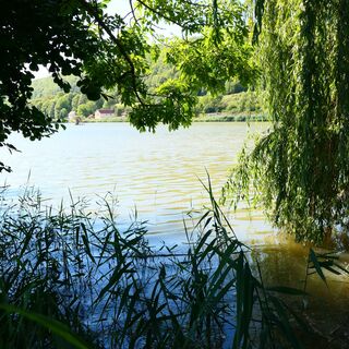 Fischteich - Untermaßfeld