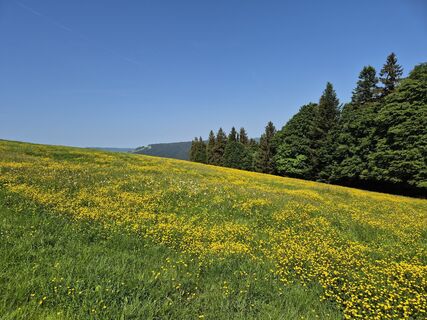 Foto von Daniel Wiederkehr entlang der Tour