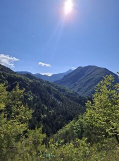 Fotografija s spletne strani Miha Gros na poti