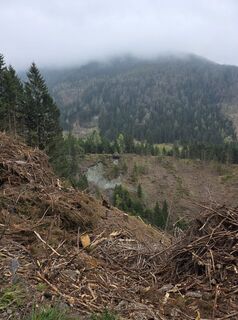 Photo de Anita Obermoser le long du parcours