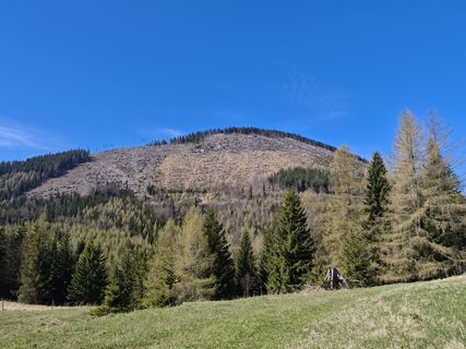 Foto de Bergpirat a lo largo del recorrido