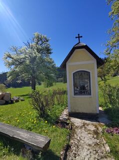 Foto von Chr Lenz entlang der Tour