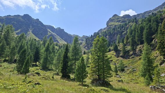 Photo de Jodeli le long du parcours