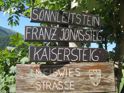 Hinternaßwald - Grenzriegel - Amaißbichl