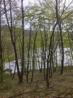 Photo de Ozlajos le long du parcours