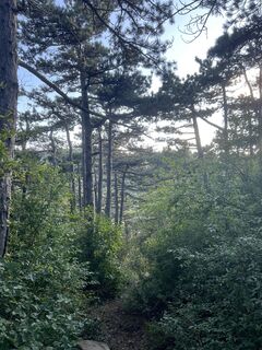 Fotografia z Gali Mikhnyova na trase