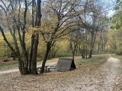 Foto de Vicaliza a lo largo del recorrido