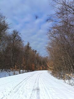 Photo de Julika Jármer le long du parcours