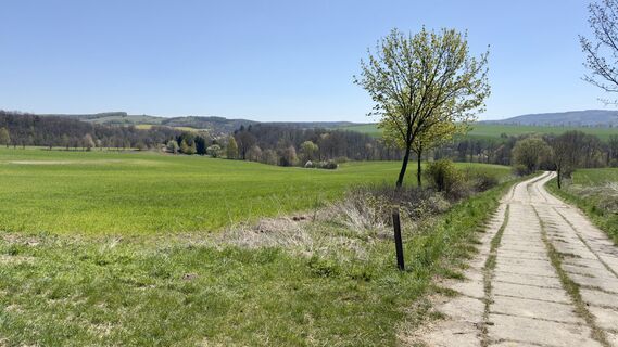 Foto von Grzybek entlang der Tour