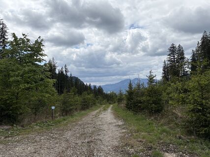 Photo de Moonytiger le long du parcours