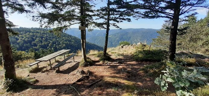Zdjęcie z Bernard Piat wzdłuż trasy