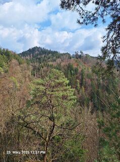 Foto fra Markus Bischof 3 undervejs på turen