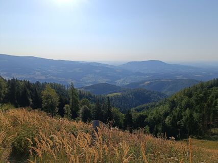 Photo de Schranki le long du parcours