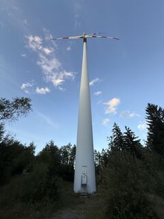 Fotografia z Wilson Holz na trase