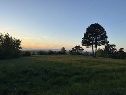 Fotografia z Bine Pan na trase