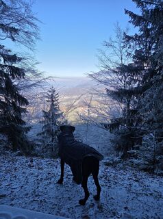 Foto von Silke S. entlang der Tour
