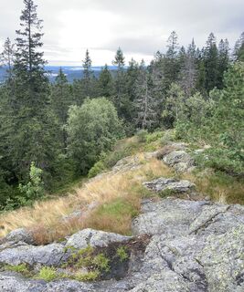 Fotó a Sebastian Keßler honlapról a túra során