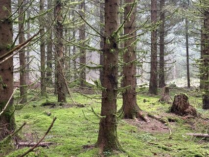 Foto von Norbert Herbig entlang der Tour