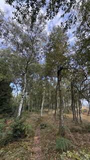 Foto von Richard Vlcek entlang der Tour