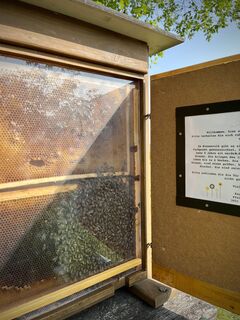 Fotó a Pfalzi honlapról a túra során