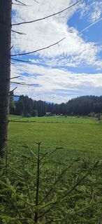 Foto von Lpetra entlang der Tour