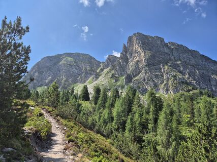 Fotografija s spletne strani melvet na poti