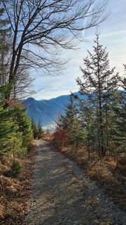unterwegs in Richtung Panorama-Restaurant Kanzelkehre - Blick zum Zillertal
