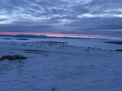 Zdjęcie z Carola Krems wzdłuż trasy