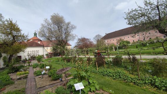 Fotografia z WilliSt na trase