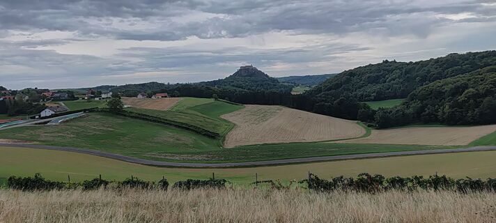 Photo de wolfkl le long du parcours