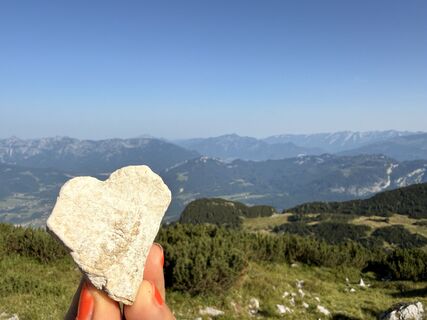 Fotografija s spletne strani Natur_erleben_dg na poti