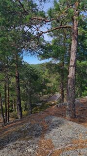 Photo de Amandine Carli le long du parcours
