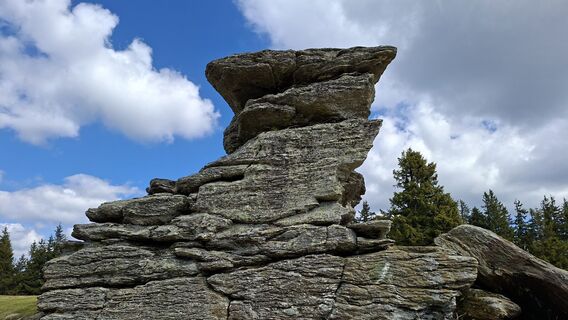 Foto de args a lo largo del recorrido