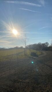 Purbach, Burgenland/Österreich