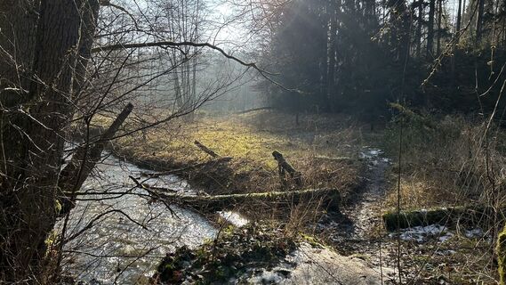 Photo de Matthias G74 le long du parcours