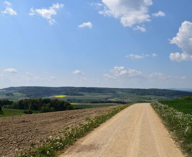 baldingen-weg-und-sicht-richtung-lengnau
