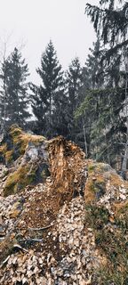 Foto von Jan 2505 entlang der Tour