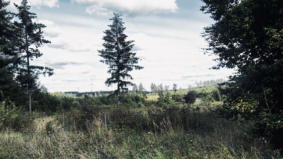 Foto von Klaus Tillmanns entlang der Tour