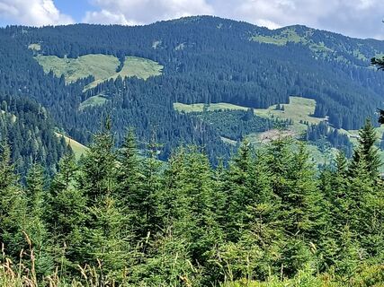 Fotó a Fantom RoK honlapról a túra során