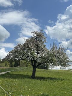 Fotografie z Ursi Kriesi na trase