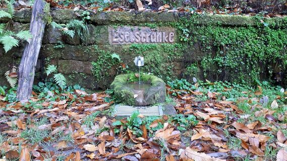 Eselstränke